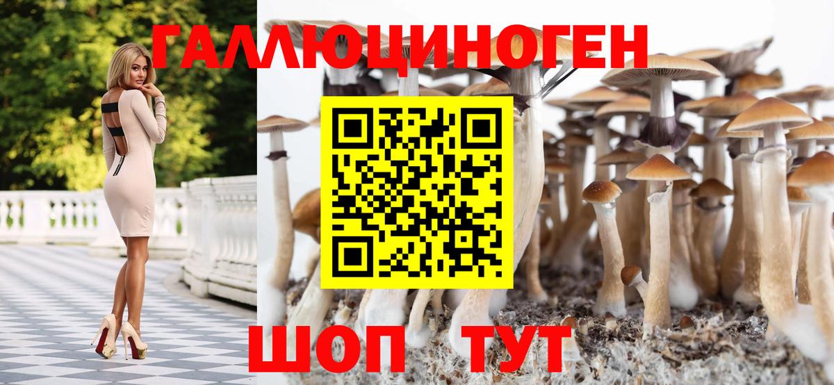 Псилоцибиновые грибы GOLDEN TEACHER Кропоткин